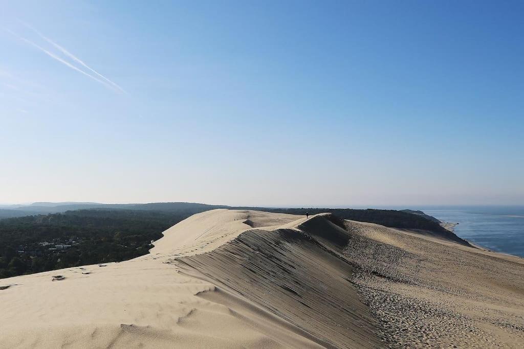 Vila La Petite Landaise Sanguinet Exteriér fotografie